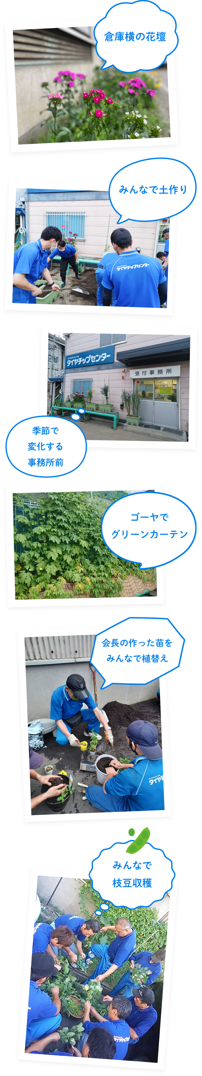 倉庫横の花壇 みんなで土作り 季節で変化する事務所前 ゴーヤでグリーンカーテン 会長の作った苗をみんなで植替え みんなで枝豆収穫